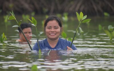 Culion Foundation, Inc. continued the mangrove rehabilitation initiative in Culion, Palawan through the Gcash-Gforest project.