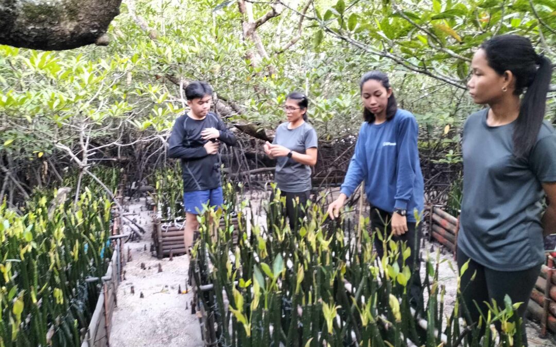 Revitalizing Coron’s Coastline: Evaluating Mangrove Restoration with Community Engagement